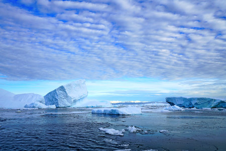 This is summer in Pleneau Island, Antarctic Peninsula. There are penguins, whales, icebergs, ice...
