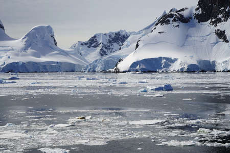 This is summer in Pleneau Island, Antarctic Peninsula. There are penguins, whales, icebergs, ice floes, glaciers, oceans, radioactive clouds and sunlight.の写真素材
