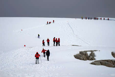 At Penguin Island in Antarctica, you can see natural landscapes such as stones, ice floes, icebergs, snow, sea and a large number of penguins. This is a great place for outdoor travel in summer.の写真素材