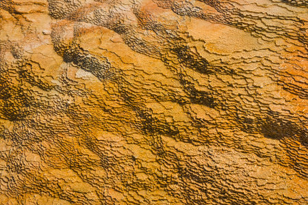 Landscape of Yellowstone National Park, Travertine Terrace. Yellowstone National Park is famous for its rich wildlife species and geothermal resources.の写真素材