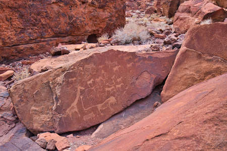 Site of ancient petroglyphs. Carved with giraffes, horses and other animals.の写真素材