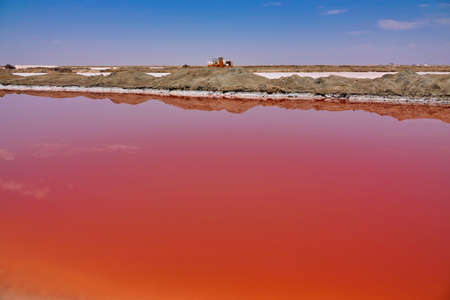 Salt can be extracted from the red brine lake. Special sand dune terrain. Flocks of flamingos(flamingoes). Walvis Bay(Whale Bay), Namibia. Oct. 2019の写真素材