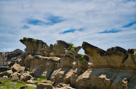 The erosion of the ocean and weathering. Forms strange rocks and stones. Fugang Geopark (Xiaoyeliu), Natural stone sculptural park. Taitung County, Taiwan. Sep. 2021の写真素材