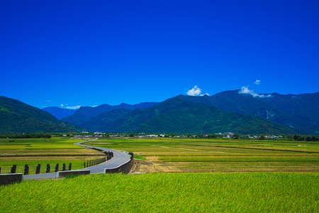 Green rice fields. Blue sky, white clouds, mountains are like idyllic paintings. 30 hectares of rice cultivation area.の写真素材