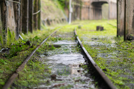 Close up of the railway track after the rain. Some green grass on the ground. Jingtong Station is located in New Taipei City, Taiwan.の写真素材
