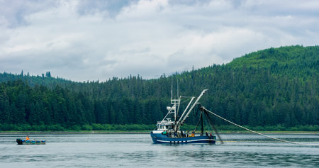 A Fishing boat sailing on the lake. Evergreen forest in the boreal zone. The turquoise blue sea. Various landscapes in summer.Alaska, USA., 2017の写真素材