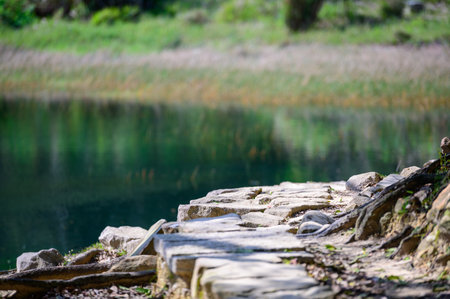 A lakeside walkway made of stone, with old tree roots on the dirt. Spring is the best time for walking trails and lake tours. Xinshan Dream Lake, Taiwanの写真素材