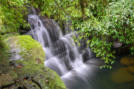 Behind the mossy rocks and green trees is the Wanggu Waterfall. The mountain forest secret place,...