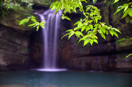 Behind the mossy rocks and green trees is the Wanggu Waterfall. The mountain forest secret place, the lake is dreamy emerald green. Pingxi, New Taipei City.の写真素材
