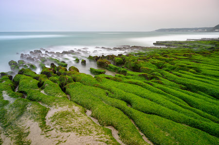 White waves wash over mossy brown rocks. Explore breathtaking coastal landscape. Laomei Green Stone Groove is a good place to visit in spring and summer. Taiwanの写真素材