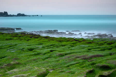 White waves wash over mossy brown rocks. Explore breathtaking coastal landscape. Laomei Green Stone Groove is a good place to visit in spring and summer. Taiwanの写真素材
