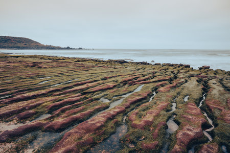 White waves wash over mossy brown rocks. Explore breathtaking coastal landscape. Laomei Green Stone Groove is a good place to visit in spring and summer. Taiwanの写真素材