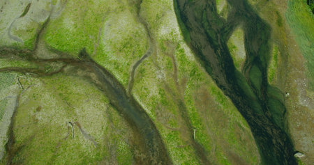 Fly along the ground and photograph rivers, green moss and alluvial plains. A drone shot of Alaska's summer grasslands, coniferous forests and rivers.の写真素材