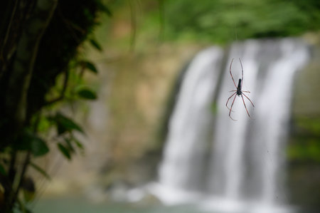 Its large cliffs are popular for jumping, and there is a safe swimming pool. Lingjiao Waterfall is located in Pingxi District, New Taipei Cityの写真素材