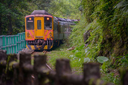A yellow diesel train is driving in the mountains and forests. Along the Pingxi line, there are...