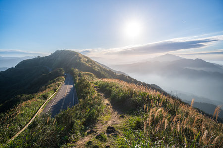 Under serene skies, golden beetroots sway against a backdrop of misty mountains. Warm winter mountain scenery in northern Taiwan, Shuangxi Buyanting Pavilion.の写真素材