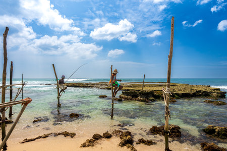 Southwest Coast, Sri Lanka - Jan. 29, 2024: Fishermen skillfully balance on wooden stilts amidst the shallow waters, casting their lines in a serene and traditional fishing method.のeditorial素材