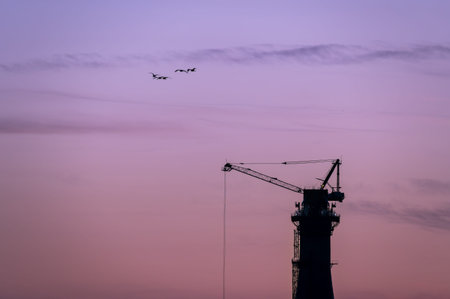 A flock of birds fly against the backdrop of construction cranes and the setting sun in Tamsui....