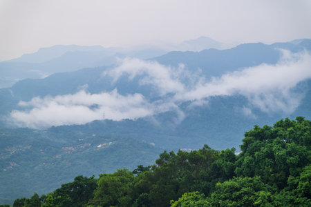 A serene landscape of rolling hills covered in lush vegetation, with a sea of clouds gently drifting...