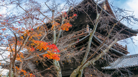 Vibrant autumn leaves frame the ancient wooden gate of Nanzen-ji Temple, creating a stunning...