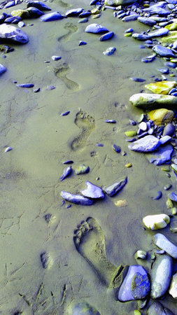 Bare footprints in sand on riverbank in morning. Footprints in wet sand surrounded by rocks,...