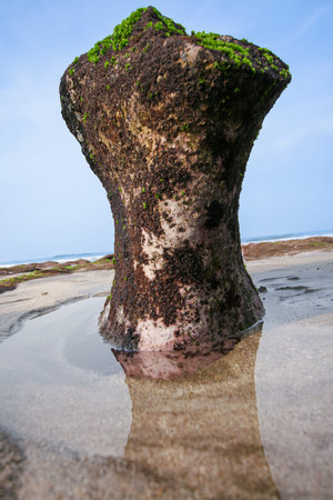 Unique rock formation covered in moss at Laomei Green Reef. Shows texture and coastal scenery. Shot in Shimen, New Taipei City. Taiwan.の写真素材