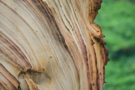 A close-up view of colorful striations, showcasing natural patterns.の写真素材