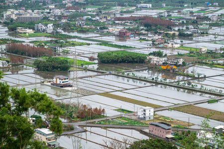 A tranquil afternoon in Yilan, Taiwan, showcases flooded paddy fields under a sky with shifting clouds and intermittent sunlight.の写真素材