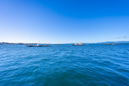 A graceful seagull soars above the calm waters and mussel farming platforms of Baiona Bay, Spain,...