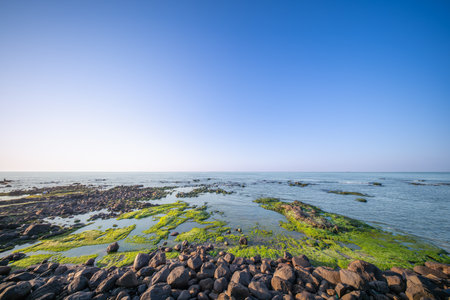 Stunning Laomei Green Reef in Shimen New Taipei City Taiwan. Picturesque coastal landscape with vibrant green algae on volcanic rock formations.の写真素材