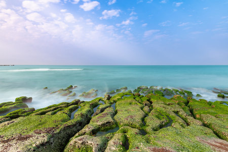 Green algae blankets the coastal reef in spring at Shimen, creating a vivid landscape as ocean waves...