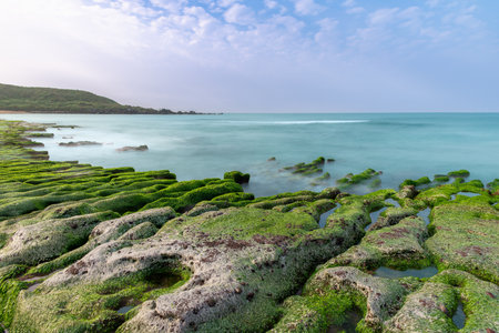 Green algae blankets the coastal reef in spring at Shimen, creating a vivid landscape as ocean waves roll over the vibrant rocky shore. Laomei, Taiwan.の写真素材