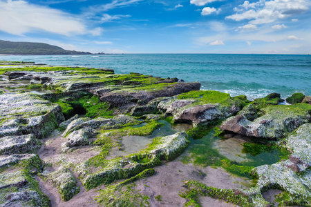 The unique and vibrant Laomei Green Reef in Shimen, New Taipei City, Taiwan, showing its stunning green algae-covered rock formations against the blue ocean.の写真素材