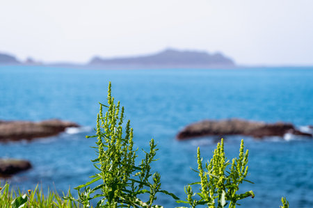 Coastal afternoon scene in Shimen, Taiwan, showing rugged rocks and Keelung Islet across calm waters.の写真素材