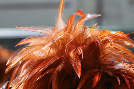 Vibrant chicken feather dusters on sale, catching the attention of many passersby with colors.