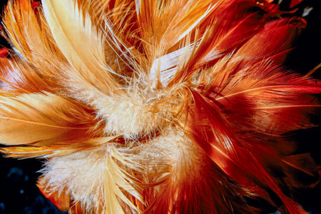 Vibrant rooster feathers form a decorative duster, displayed in a lively market in New Taipei City,...