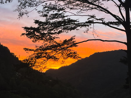 Dramatic tree branches silhouetted against a fiery orange and pink sunrise sky over the mountains.の写真素材
