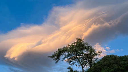 Powerful golden shelf cloud at sunrise rolling over Wulai mountains in New Taipei City Taiwan with tree silhouette.の写真素材