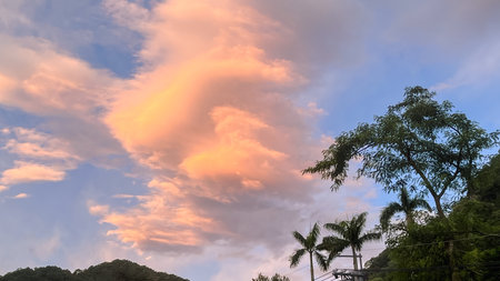 Close up view of vibrant pink and orange clouds in the dawn sky above the silhouette of palm trees and mountains in Wulai, New Taipei City, Taiwan.の写真素材