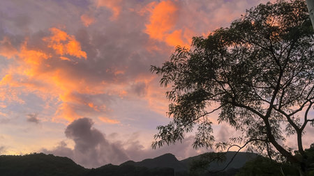 Dramatic orange and purple dawn sky with glowing clouds framed by dark tree branches over the mountains of Wulai, New Taipei City, Taiwan.の写真素材