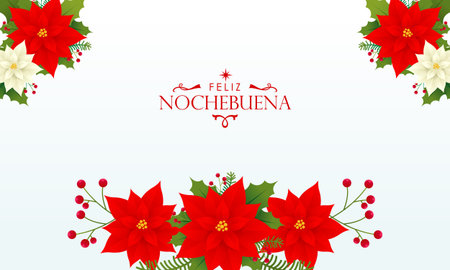 Feliz Nochebuena Christmas Floral Background with Red Poinsettia and Greenery Decorationのイラスト素材