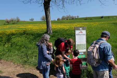 Fricktaler Chriesiwäg Jurapark, Gipf-Oberfrick, Aargau / Switzerland - April 19 2019 : Tourists visiting blooming cherry trees with white flower blossom in spring season.のeditorial素材