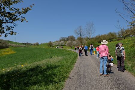 Fricktaler Chriesiwäg Jurapark, Gipf-Oberfrick, Aargau / Switzerland - April 19 2019 : Tourists visiting blooming cherry trees with white flower blossom in spring season.のeditorial素材