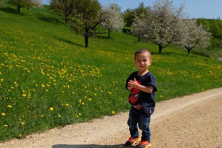 Fricktaler Chriesiwäg Jurapark, Gipf-Oberfrick, Aargau / Switzerland - April 19 2019 :Little boy having happy time with blooming cherry trees and flower blossom in spring season.のeditorial素材