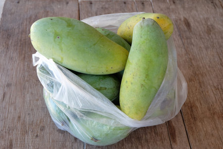 Fresh Mangos from garden in plastic bag on a wooden table.