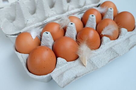 Brown Eggs in paper egg panel with chicken feather close up.の写真素材