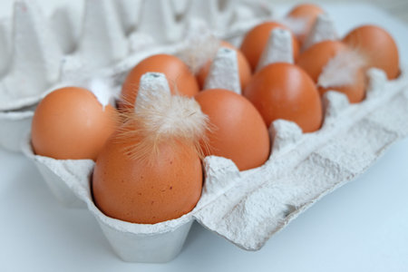 Brown Eggs in paper egg panel with chicken feather close up.