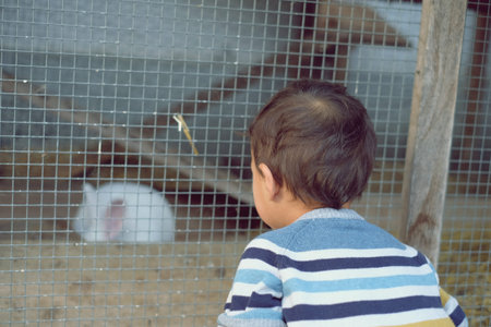 Vintage photo of little child boy looks at Rabbit animal sleeping in a cage at farm.