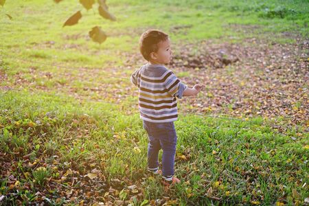Little child kid boy standing on green grass in nature park. Child kid learns natural environment concept idea.の写真素材