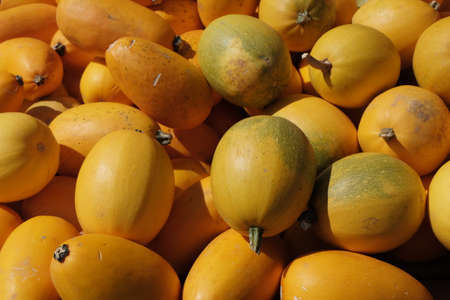 A pile of pumpkins for sale.の写真素材
